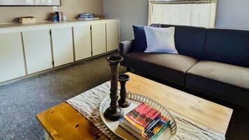 Smart TV, fireplace, books