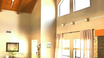 Smart TV, fireplace, books