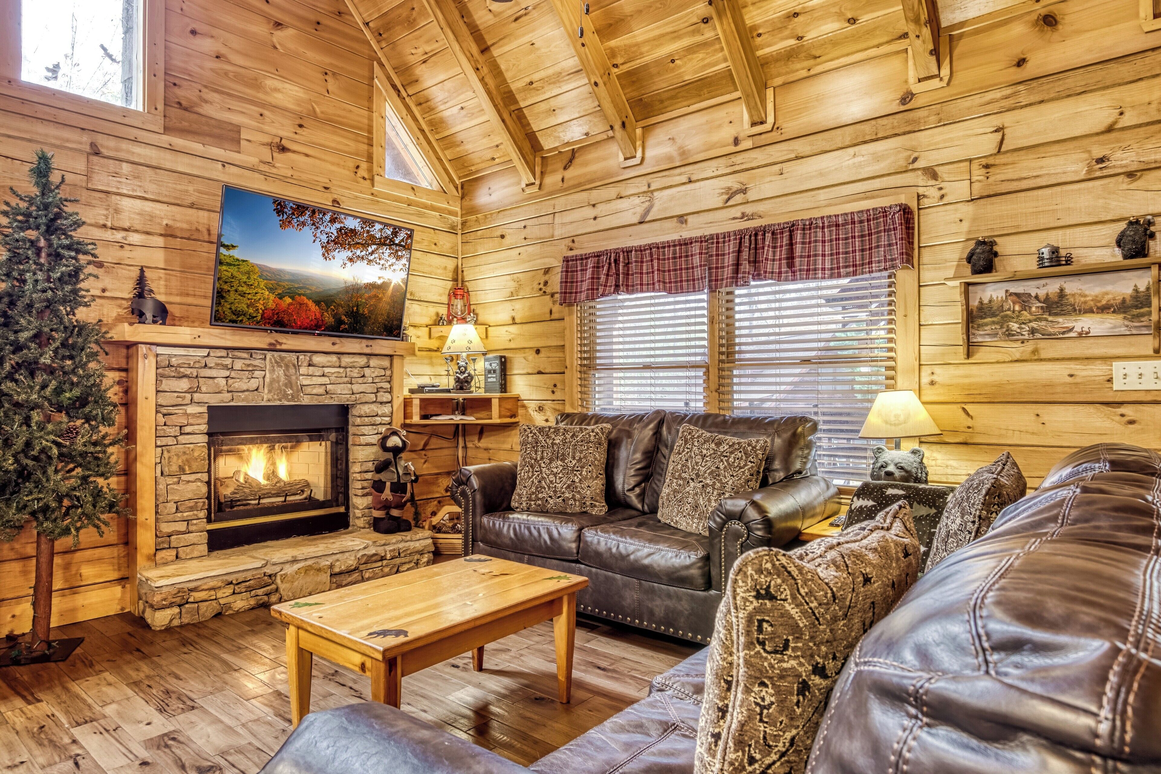 Televisie, een open haard en een dvd-speler