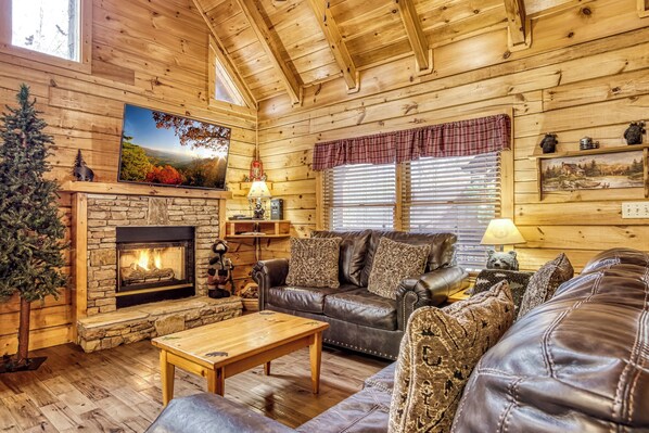 TV, fireplace, DVD player