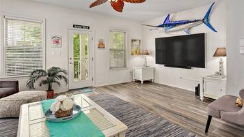 TV connectée, lecteur de DVD, livres, vidéothèque