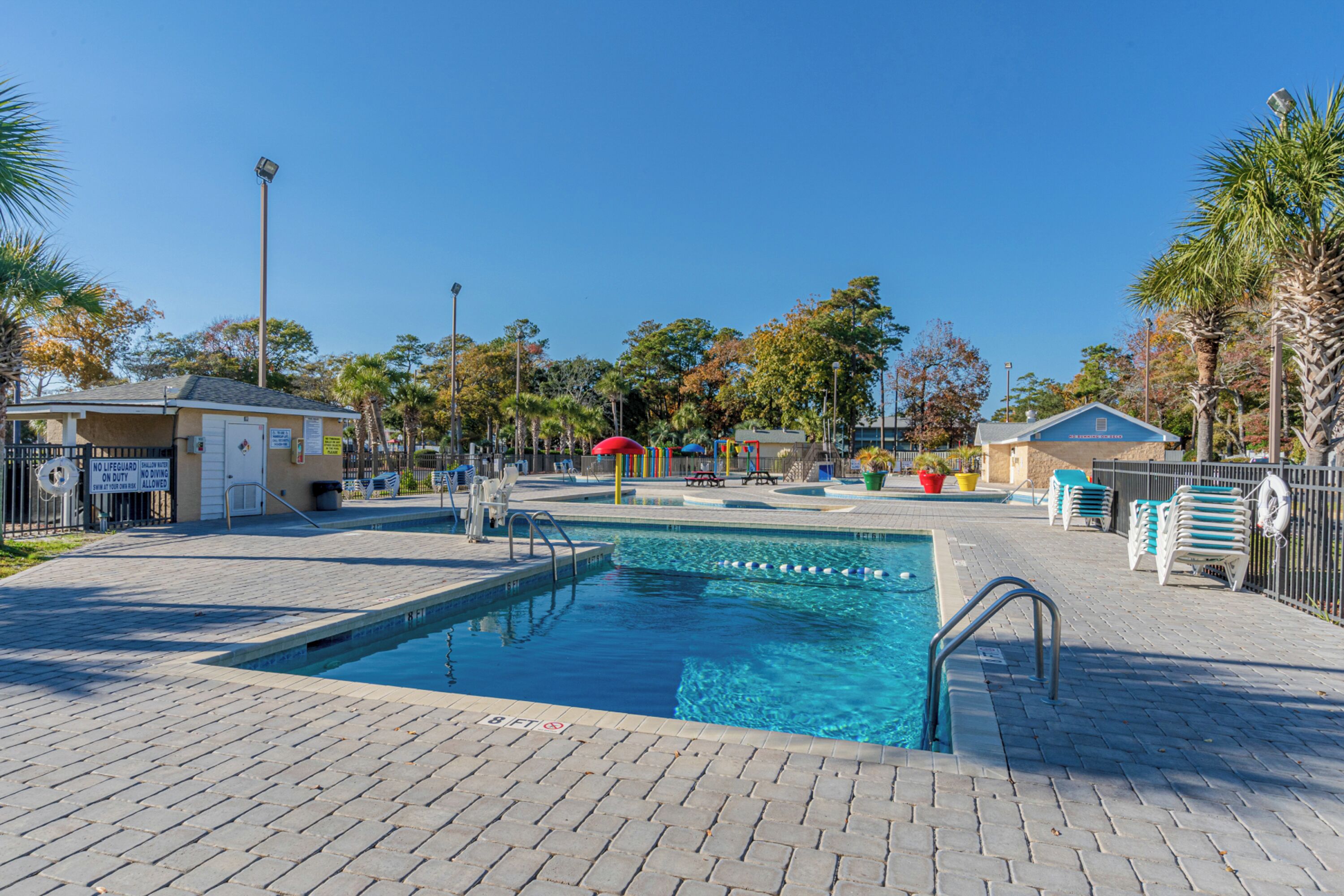 A swimming pool with a brick deck, surrounded by palm trees and a clear blue sky.