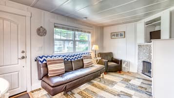 Télévision, cheminée, lecteur de DVD