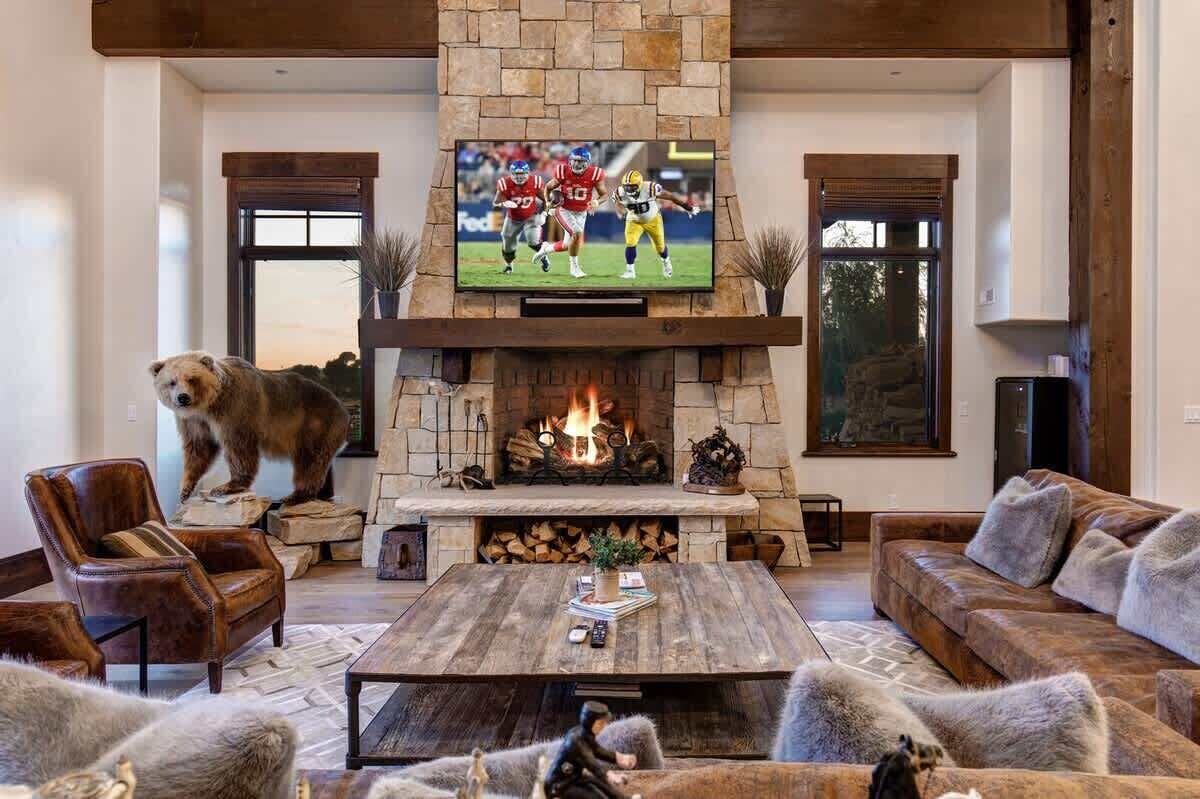 A living room with a stone fireplace, a television mounted above it, and a large dog standing on the floor.