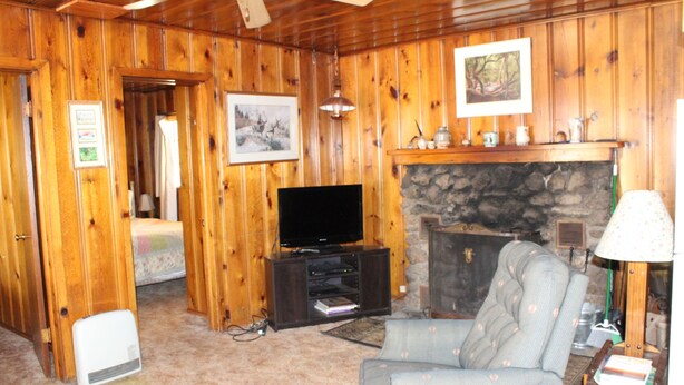 Een woonkamer met houten lambrisering, een open haard, een televisie op een standaard en een bank.