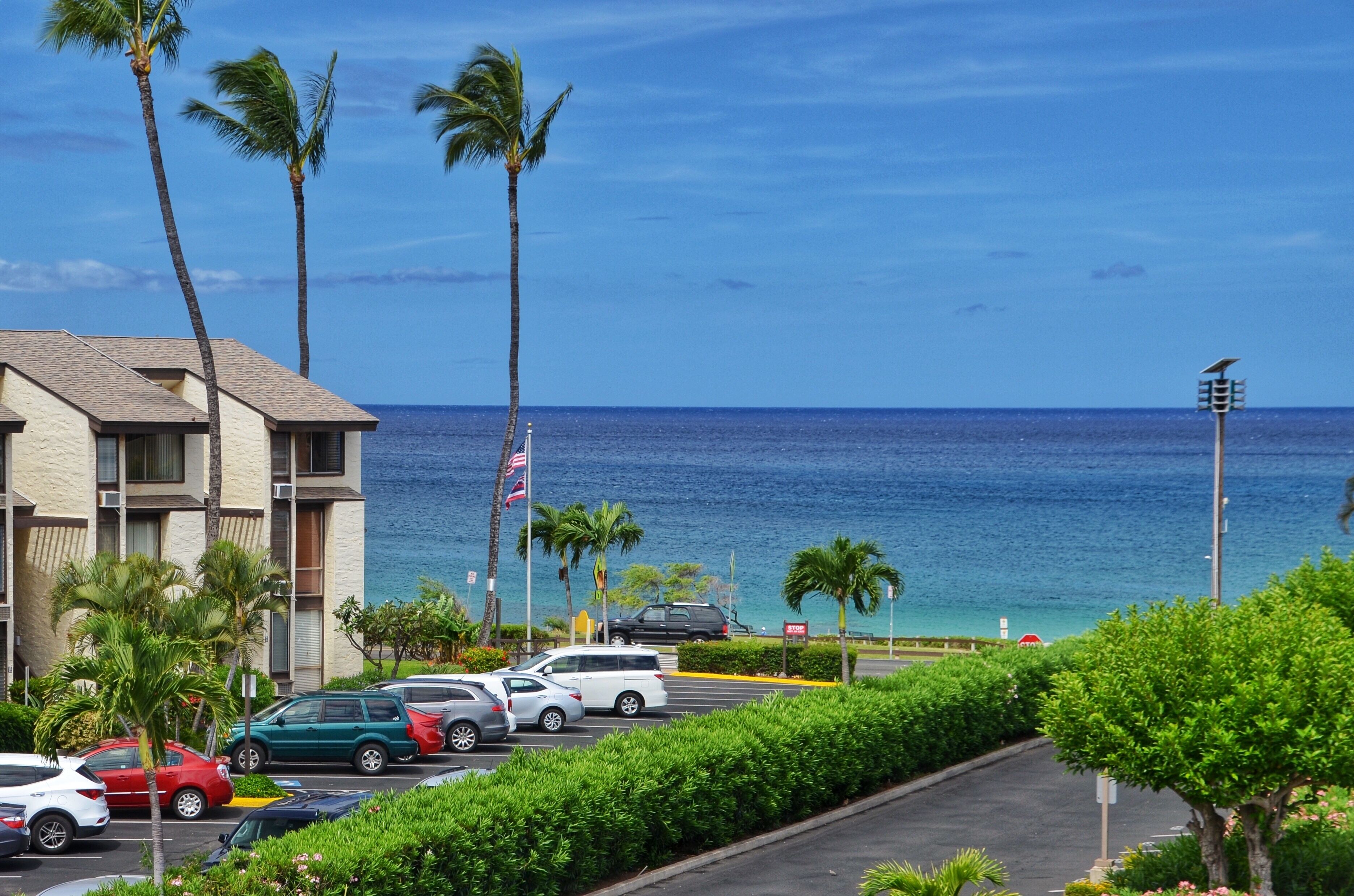 A hotel with a parking lot, palm trees, and a view of the ocean.
