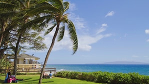 A beachfront property with a wooden deck, a palm tree, and a view of the ocean.