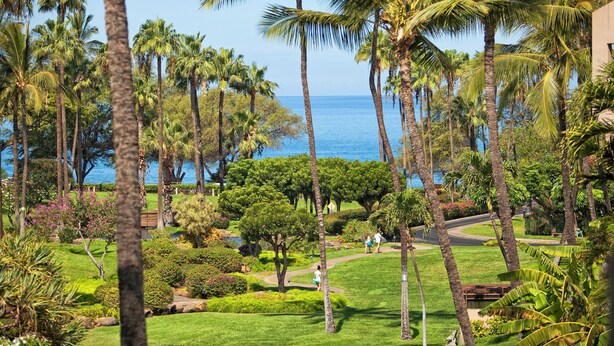 A lush garden with palm trees and a pathway leading to a building.