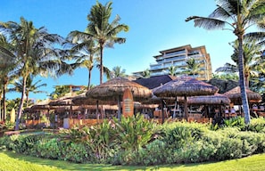 Relax in a tropical paradise surrounded by lush greenery and palm trees.