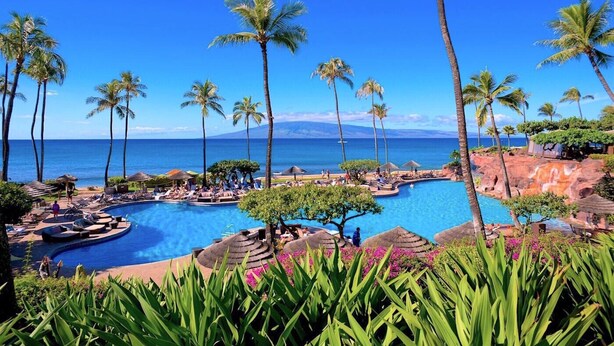 Zona de piscina en un resort con palmeras, sillas de descanso y vistas al océano.