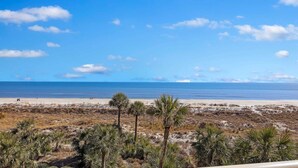 Uma praia com céu claro, areal arenoso e vegetação rasteira.