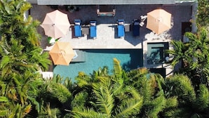 An aerial view of a pool area with lounge chairs and umbrellas, surrounded by palm trees. - Castaway Cottage + Beach + Heated Private Pool & Spa + GOLF CART INCLUDED! (Anna Maria)