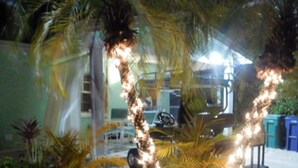 A garden area with potted plants and a pathway leading to a building. - Castaway Cottage + Beach + Heated Private Pool & Spa + GOLF CART INCLUDED! (Anna Maria)