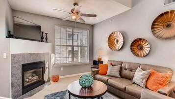 TV connectée, cheminée, jeux vidéo, lecteur de DVD