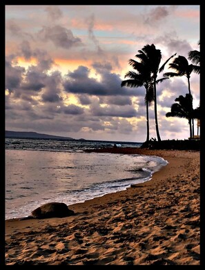 Beach - Beautiful Seaglass Relaxed Coastal Charm - Free wifi and parking close to 🏖 (Lahaina)