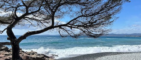 靠近海滩