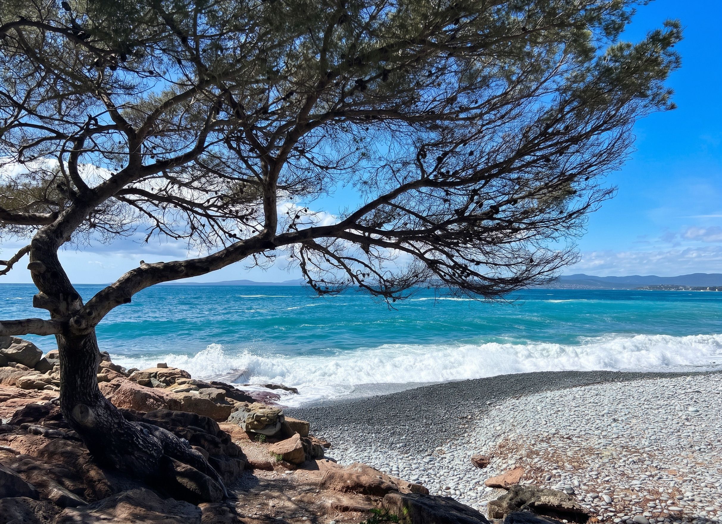 Eine felsige Küstenlinie mit einem Baum im Vordergrund und Blick aufs Meer.