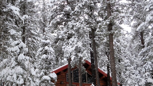 A log cabin surrounded by snow-covered trees. - River Alpine Loft managed by Cabin Butler (Greer)