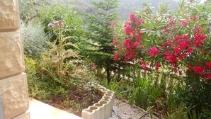 A garden with a variety of plants and a stone wall. - RENTAL GITE BELOW VILLA (L'escarène)
