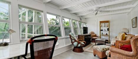 电视、DVD 播放器