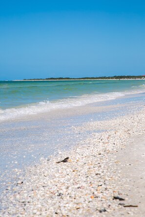 Beach - Renovated Condo Offering Free Beach Access! (Marco Island)