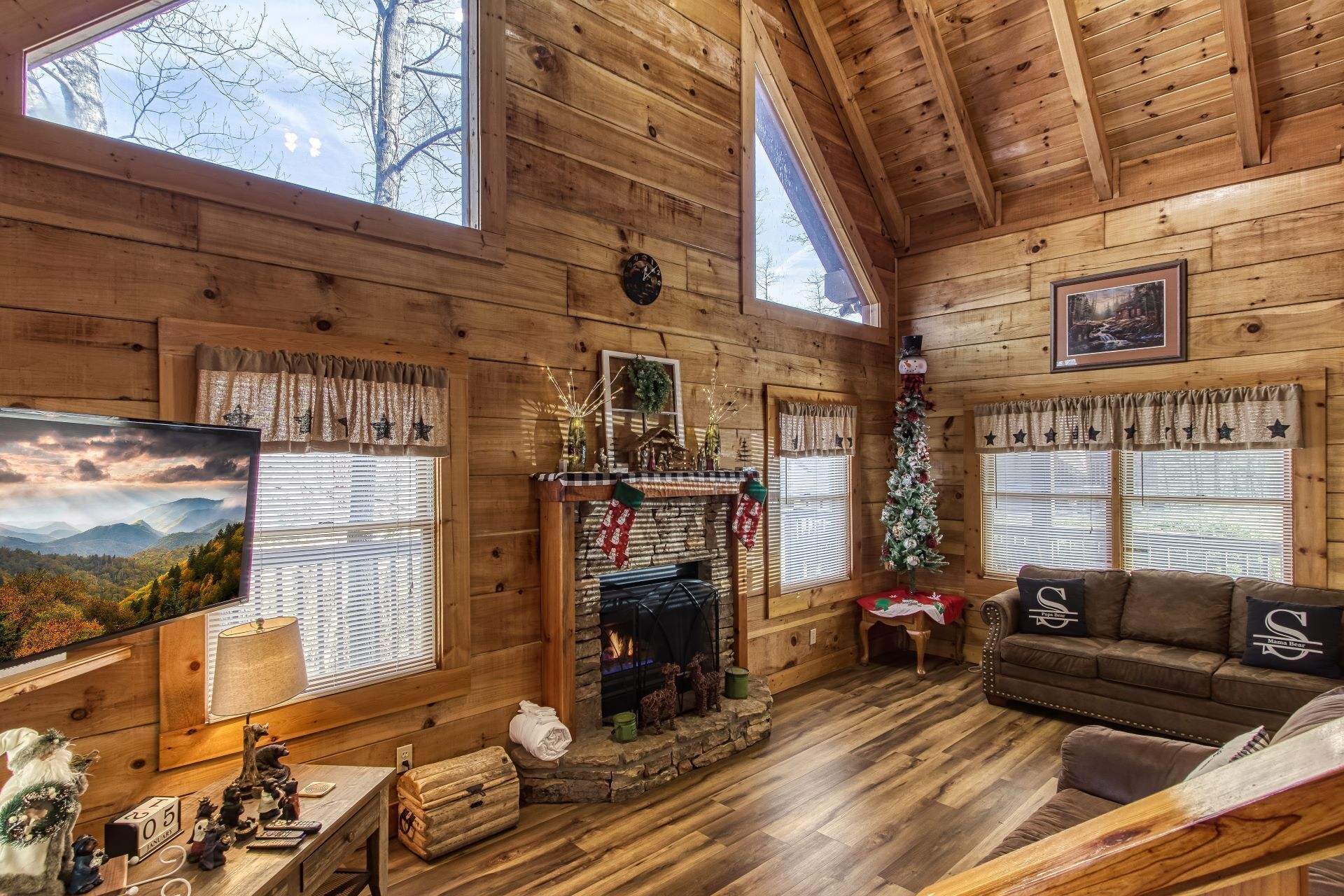 TV, fireplace, DVD player