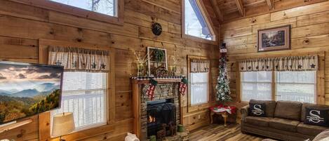 Télévision, cheminée, lecteur de DVD