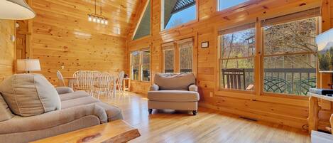 Een televisie, een open haard, videogames en een dvd-speler