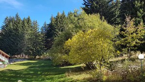 A well-maintained garden with a variety of trees, a lawn, and a stone wall. - Ski-in/out apartment for 7 guests, pets allowed, Les Arcs 1800 (Les Arcs 1800)