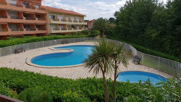 A swimming pool with a curved design, surrounded by a stone deck and a metal fence. There is a palm tree and greenery nearby.