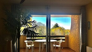 A balcony with a wooden floor, two white plastic chairs, and a large potted plant.