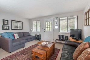 TV connectée, cheminée, livres