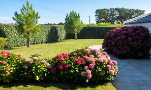 A well-maintained garden with hedges, flowering plants, and a paved walkway. - Homerez - House in Bangor (Bangor)
