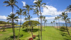 A well-maintained golf course with tall palm trees and a clear view of the ocean.