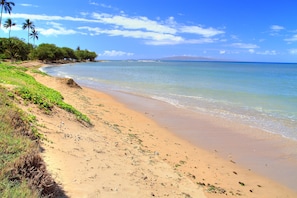 Une plage avec une eau d’un bleu limpide, un rivage sablonneux et des palmiers.