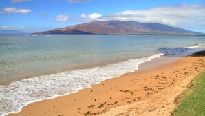 A beach with clear water, a grassy area, and a mountain in the background.