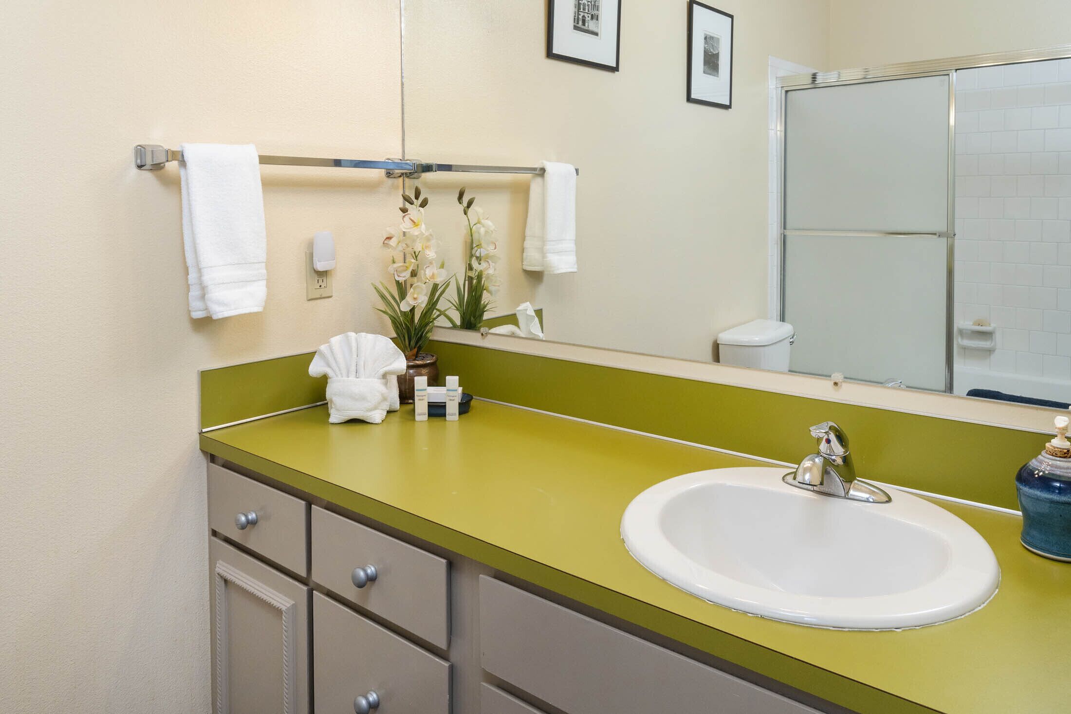 A bathroom with a green countertop, white sink, and a large mirror. There are towels hanging on a rack, a potted plant, and a toilet visible in the reflection.