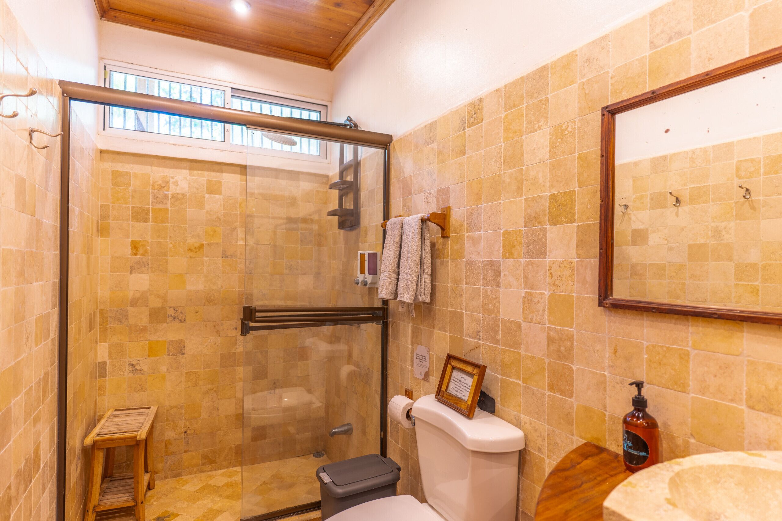 Shower, hair dryer, towels