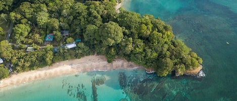 在海灘附近