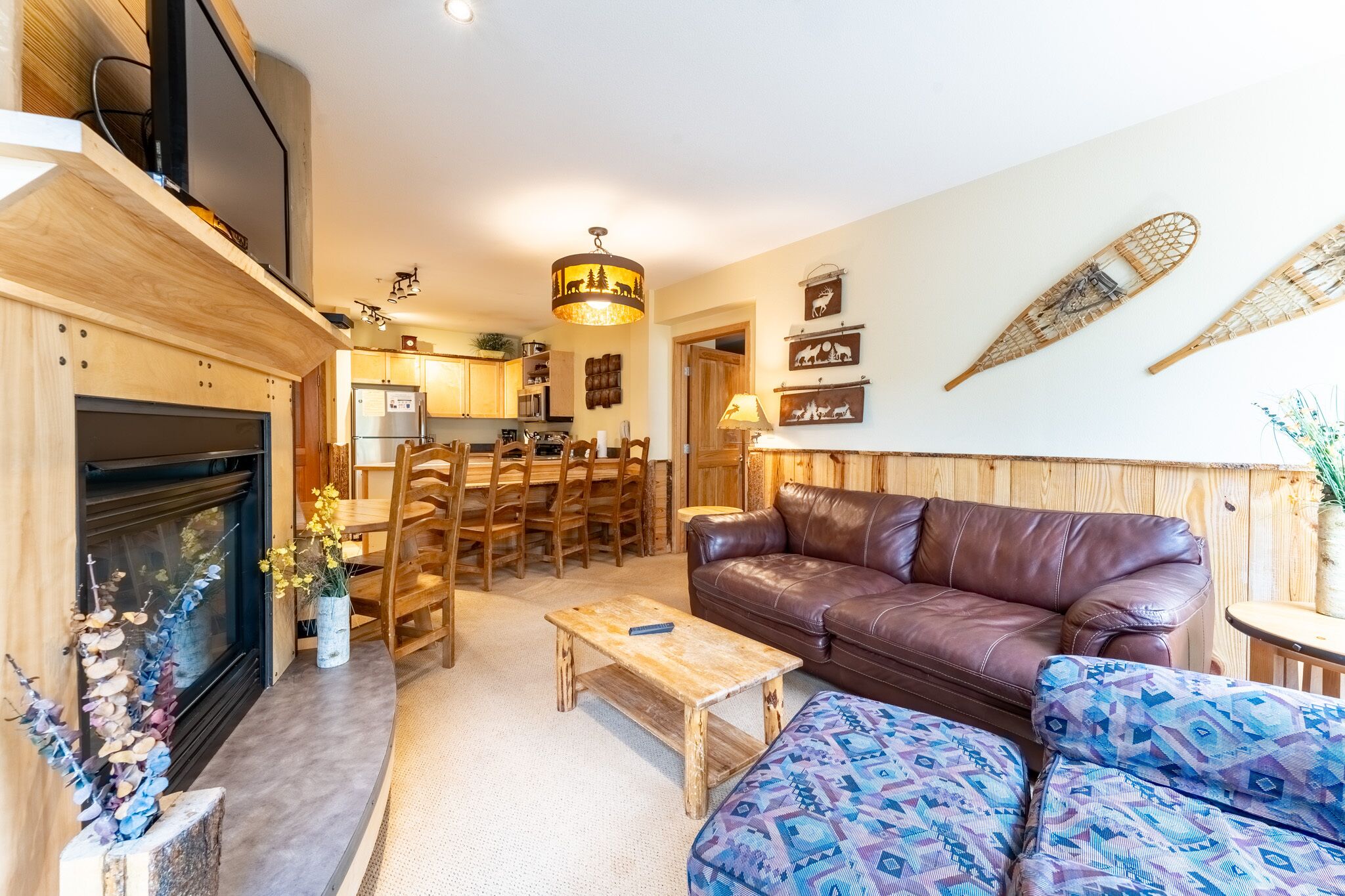 TV, fireplace, DVD player