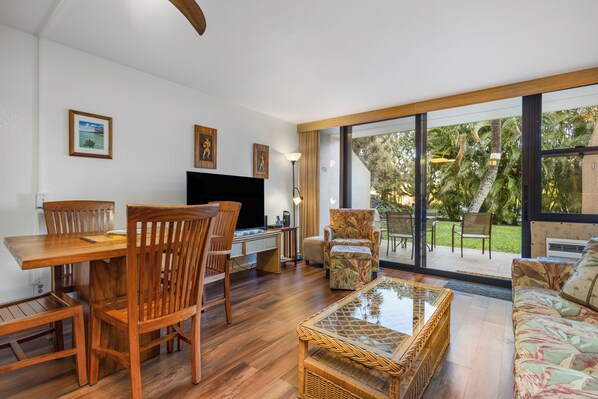 Televisio, DVD-soitin