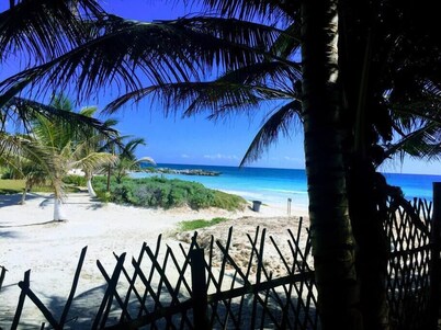 Magical jungle Eco Cabana in Tulum Mexico