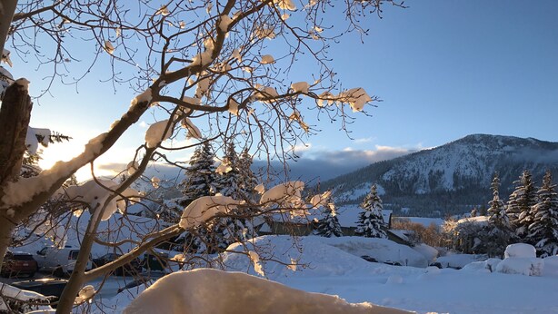 A snowy landscape with a wooden bench in the foreground.