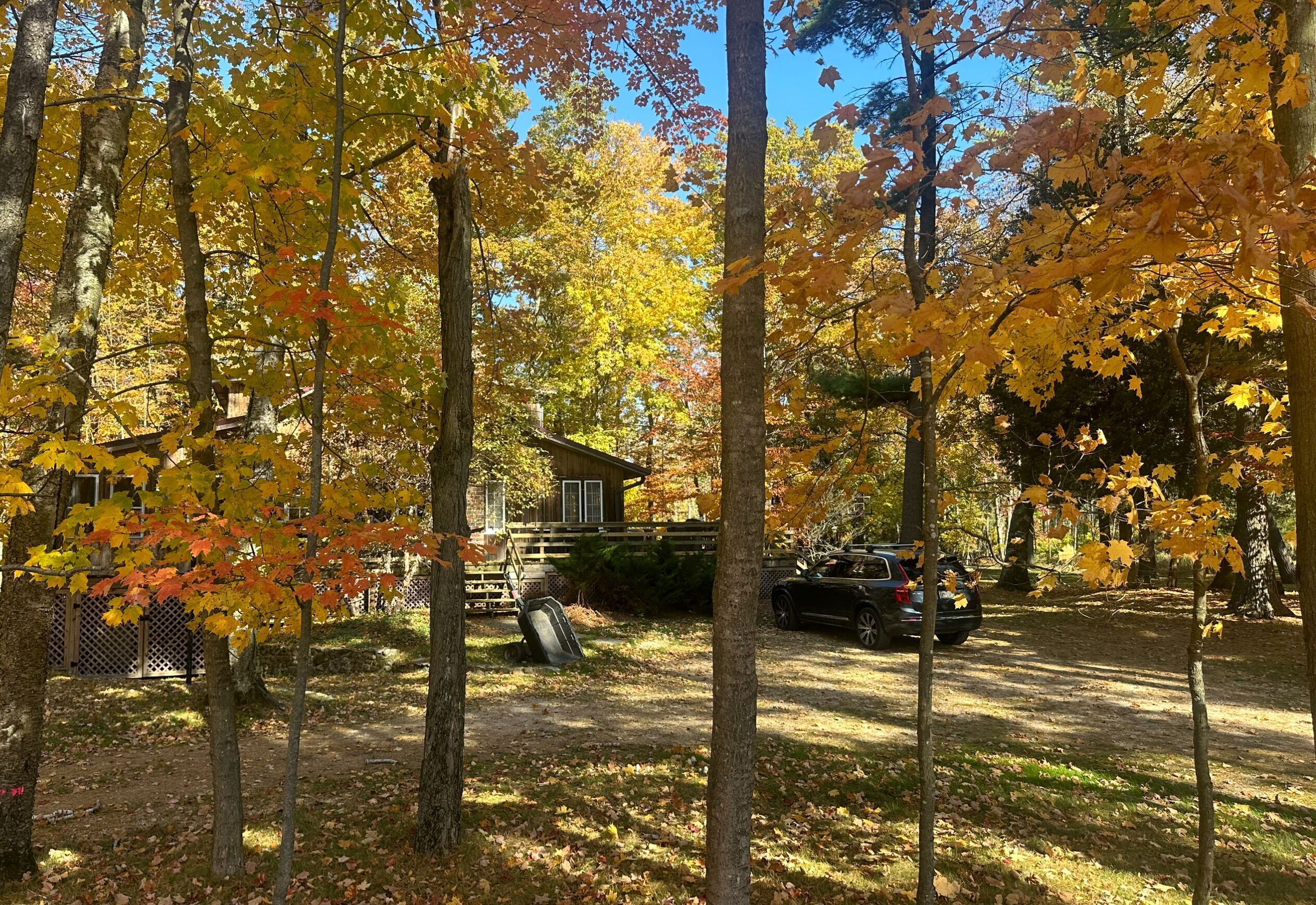 A forested area with a house and a parked car.