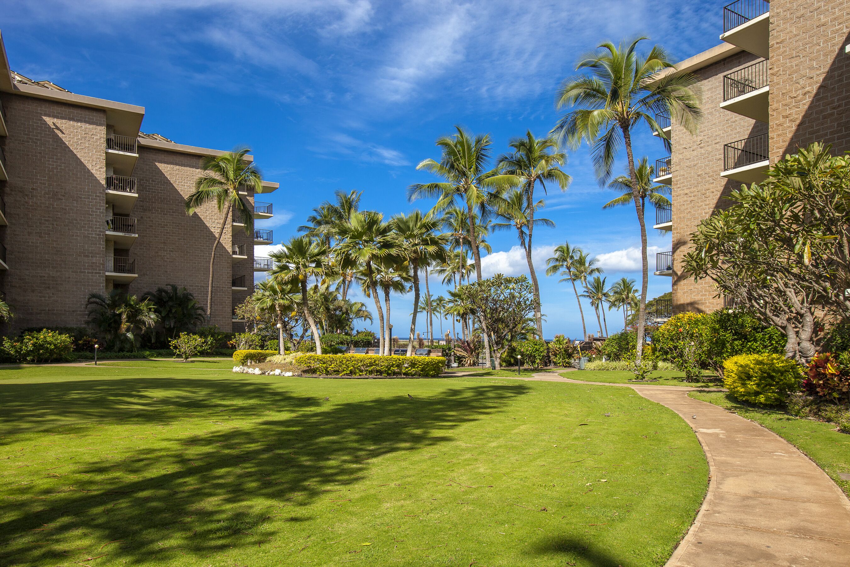 A well-maintained lawn with palm trees and a clear sky.