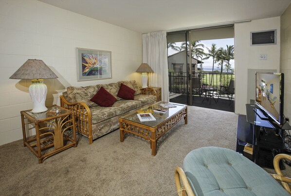 Flat-screen TV, DVD player