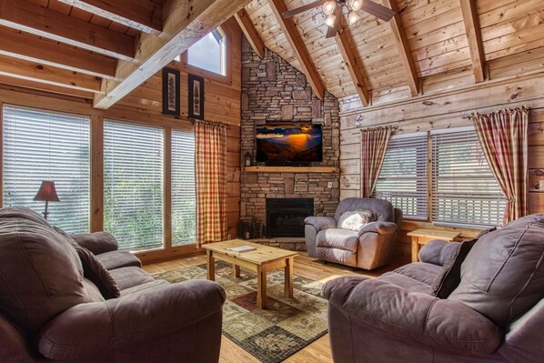 Televisión, chimenea y reproductor de DVD