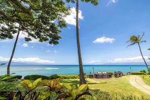 A tropical resort with a clear view of the ocean, a well-maintained lawn, and barbecue grills.