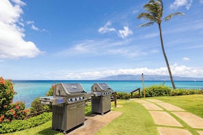 Deux barbecues, un palmier et une vue sur l’océan, avec des montagnes à l’horizon.