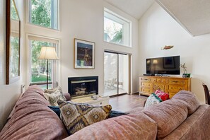 Fernseher, Kamin, DVD-Player, Bücher